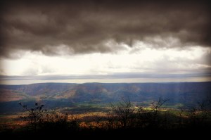 Mountain Storm Brewing