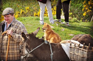 Irish Man and Dog